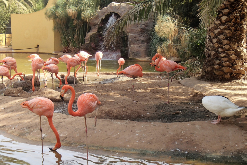 Zoo de Lagos - Algarve